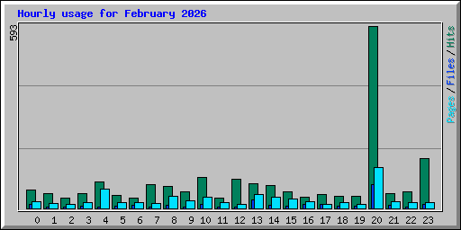 Hourly usage for February 2026