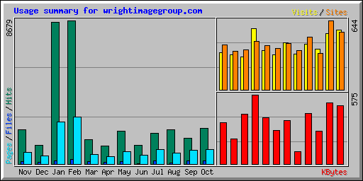 Usage summary for wrightimagegroup.com